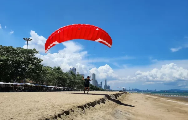 Aile de parapente gonflage/Speedflying Davinci Gliders – DOREMI – Image 7