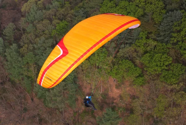 Aile de parapente Davinci Gliders - CLASSIC 2 – Image 6