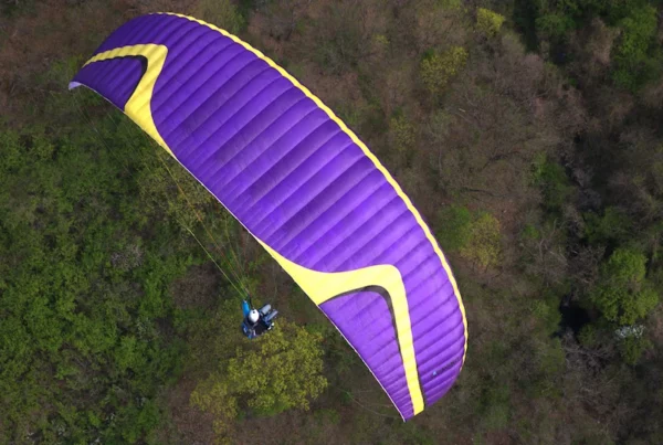 Aile de parapente Davinci Gliders - CLASSIC 2 – Image 7