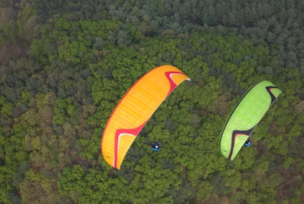 Aile de parapente Davinci Gliders - CLASSIC 2 – Image 8