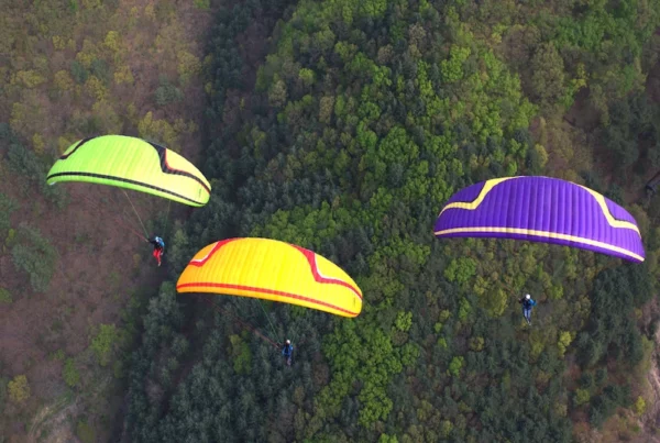 Aile de parapente Davinci Gliders - CLASSIC 2 – Image 2