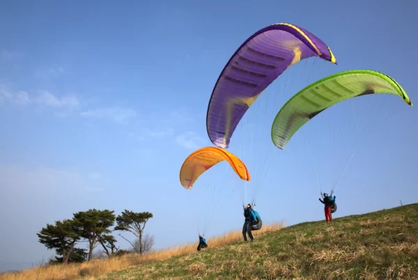 Aile de parapente Davinci Gliders - CLASSIC 2 – Image 3