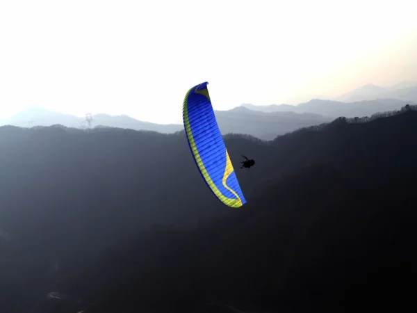 Aile de parapente biplace Davinci Gliders - DUET PRO – Image 11