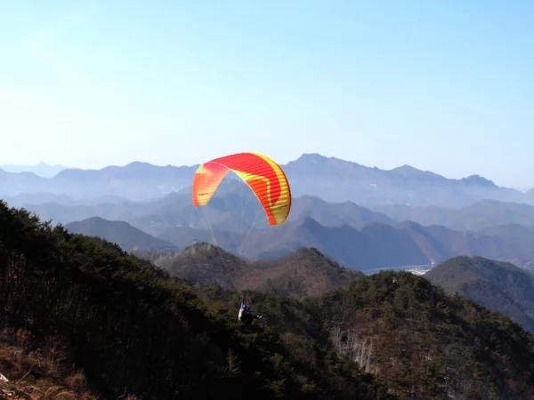 Aile de parapente biplace Davinci Gliders - DUET PRO – Image 16