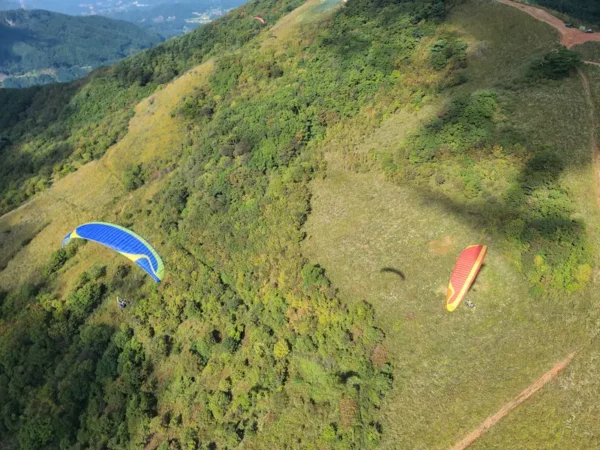 Aile de parapente biplace Davinci Gliders - DUET PRO – Image 19