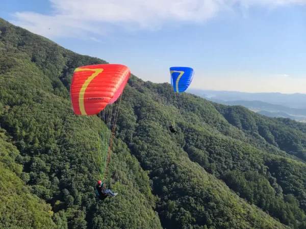 Aile de parapente ultralégère Davinci Gliders - HULA – Image 5