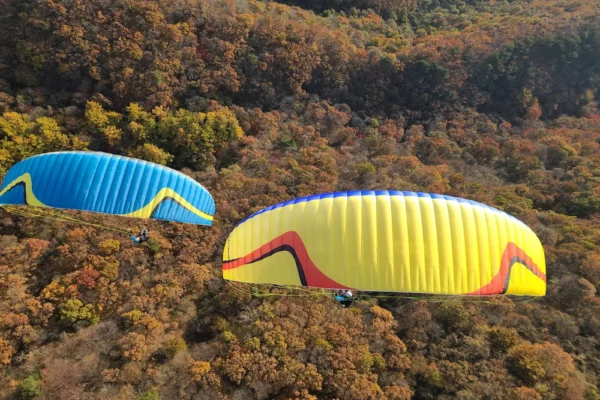 Aile de parapente Davinci Gliders - RHYTHM 2 – Image 11