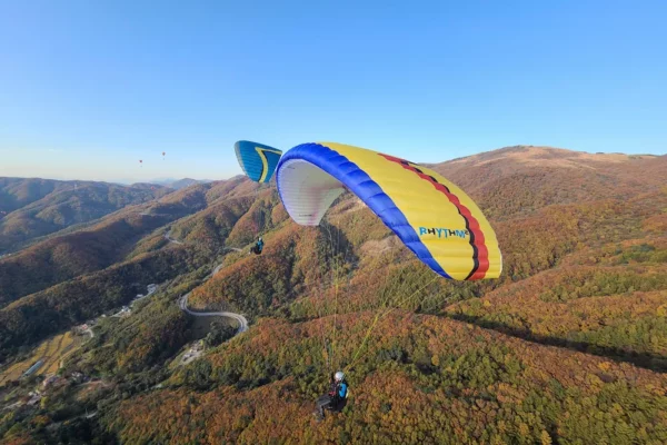 Aile de parapente Davinci Gliders - RHYTHM 2 – Image 15