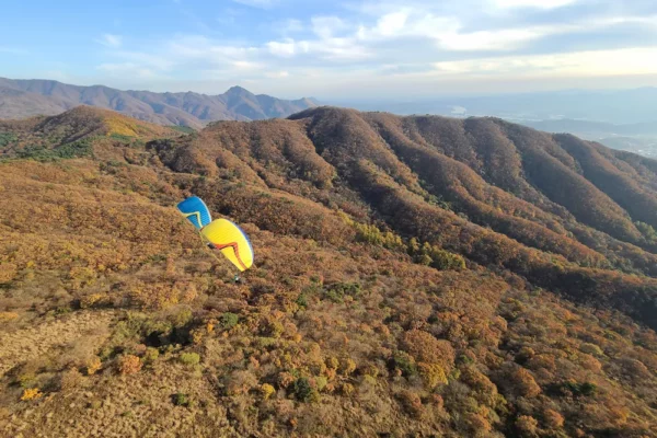 Aile de parapente Davinci Gliders - RHYTHM 2 – Image 4
