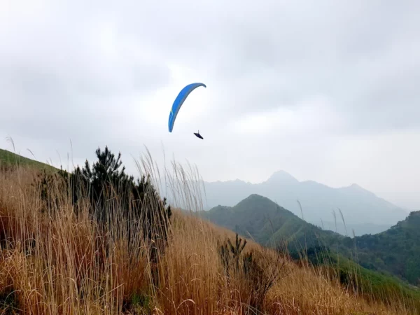 Aile de parapente Davinci Gliders - TANGO – Image 6