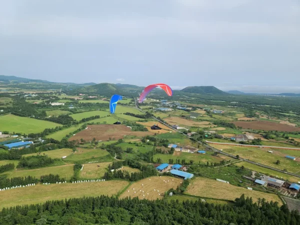 Aile de parapente Davinci Gliders - TANGO – Image 3