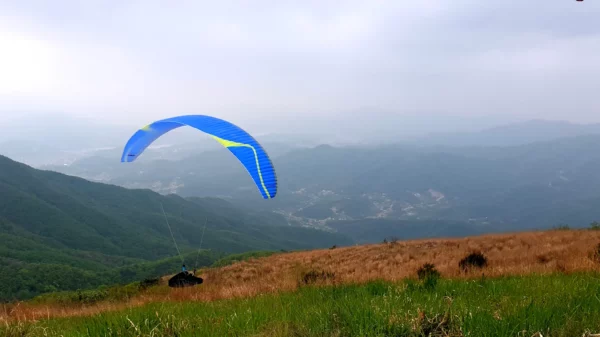 Aile de parapente Davinci Gliders - TANGO – Image 5