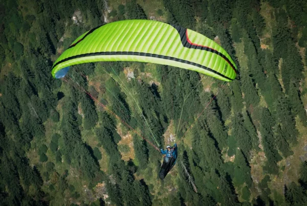 Aile de parapente Davinci Gliders - CLASSIC 2 – Image 9