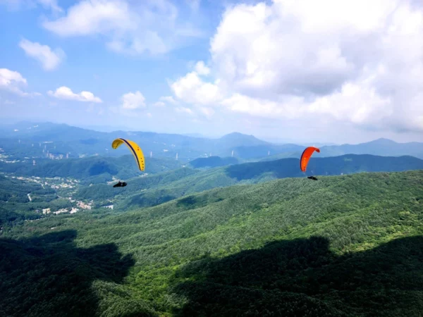 Aile de parapente Davinci Gliders - MAMBO – Image 5