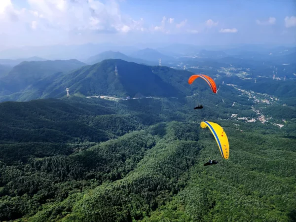 Aile de parapente Davinci Gliders - MAMBO – Image 16
