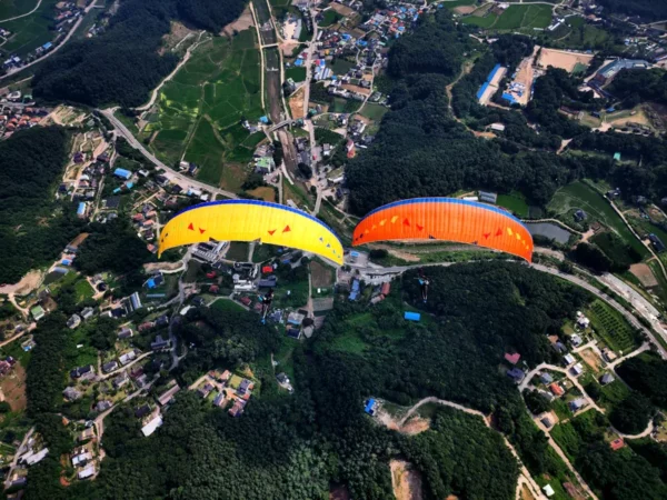 Aile de parapente Davinci Gliders - MAMBO – Image 4