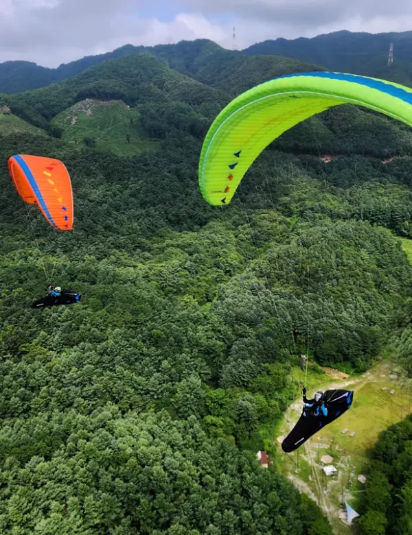 Aile de parapente Davinci Gliders - MAMBO – Image 7