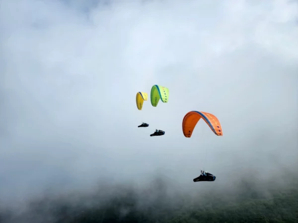 Aile de parapente Davinci Gliders - MAMBO – Image 9