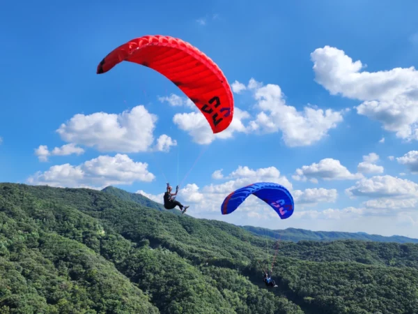 Aile de parapente Davinci Gliders – POINT 2 – Image 2