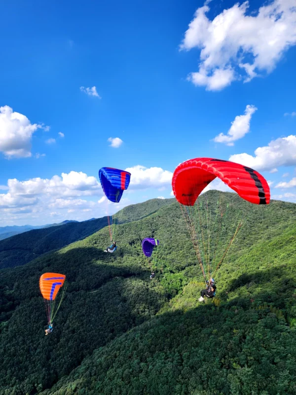 Aile de parapente Davinci Gliders – POINT 2 – Image 4