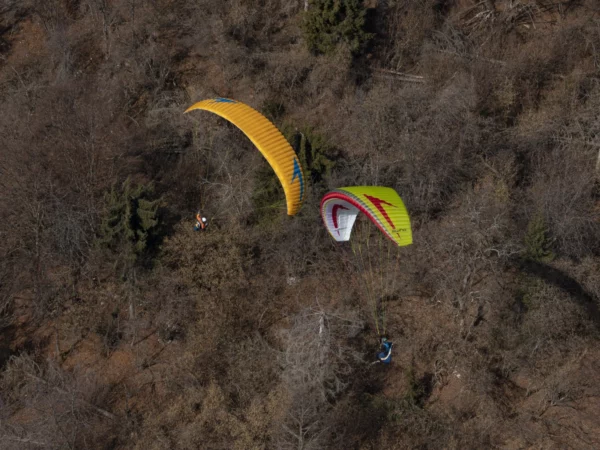 Aile de parapente Swing – MIURA 2 RS – Image 5