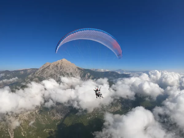 Aile de parapente biplace Swing – TWIN 3 RS – Image 4