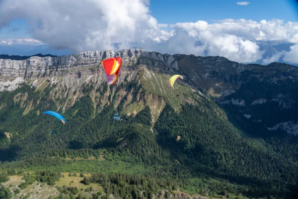 Aile de parapente Airdesign – EAZY 3 – Image 3