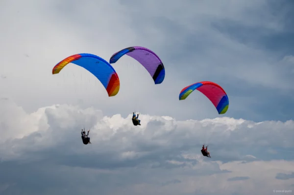 Aile de Parapente Parapente PHI Sonata 2 – Image 23