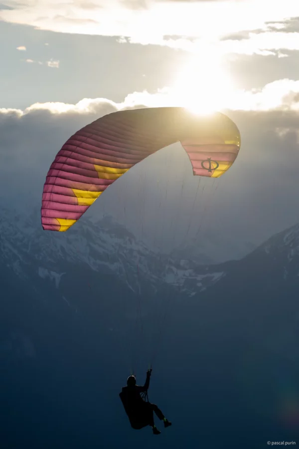 Aile de Parapente Parapente Phi Sola GT – Image 2