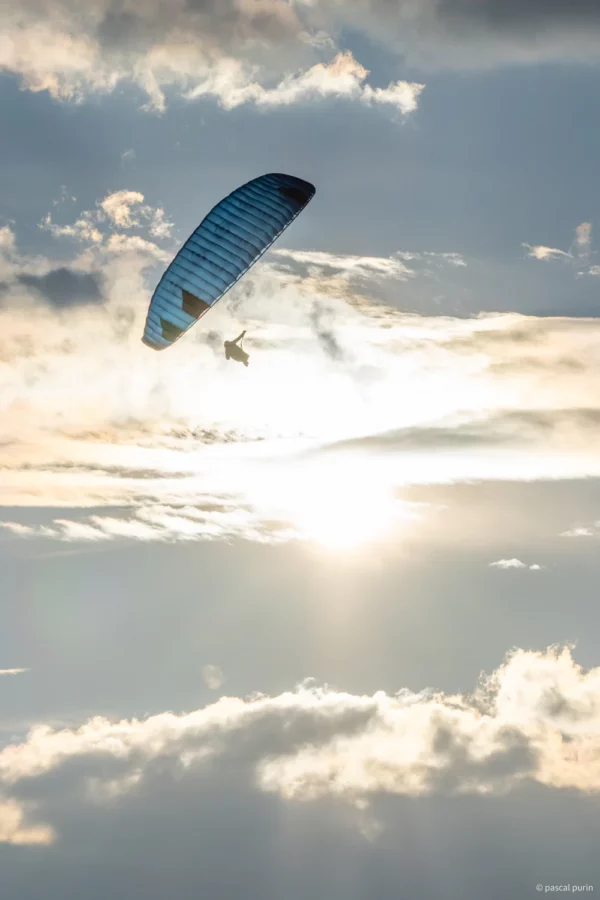 Aile de Parapente Parapente Phi Sola GT – Image 14