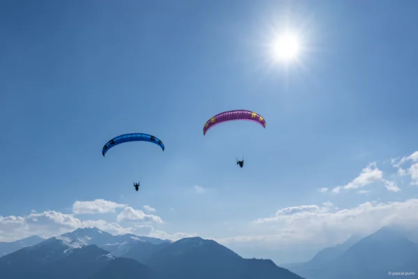 Aile de Parapente Parapente Phi Sola GT – Image 23
