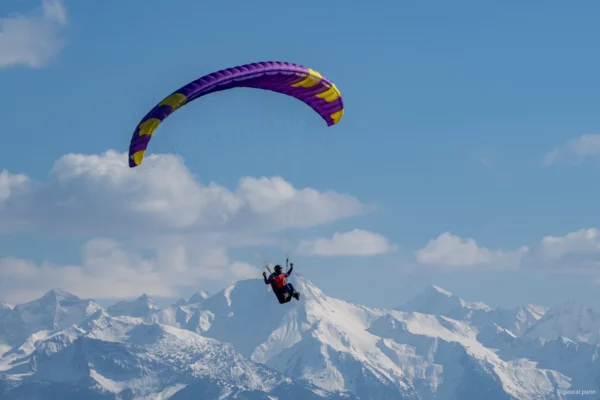 Aile de Parapente Parapente Phi Sola GT – Image 30