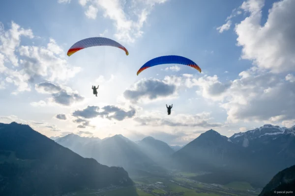Aile de Parapente Parapente PHI Viola 2 – Image 21