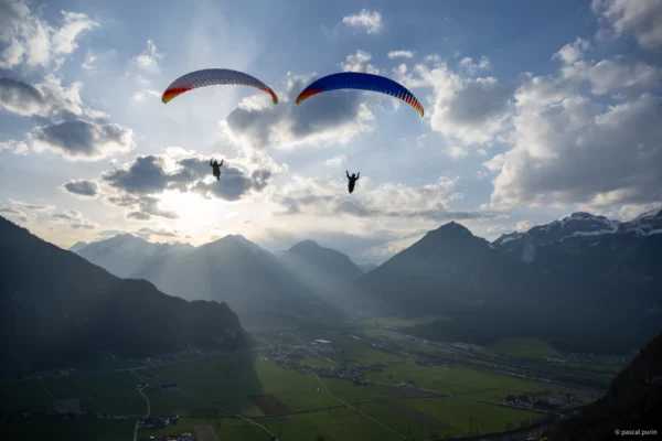 Aile de Parapente Parapente PHI Viola 2 – Image 23