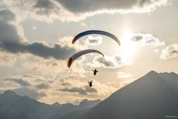 Aile de Parapente Parapente PHI Viola 2 – Image 25