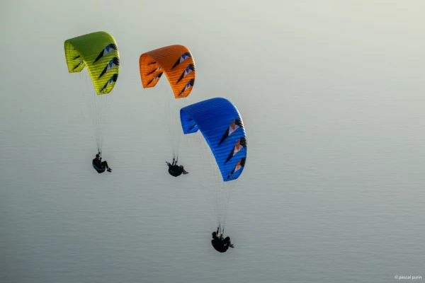 Aile de Parapente Parapente PHI - Beat 2 Light – Image 2