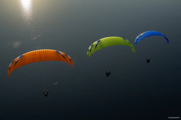 Aile de Parapente Parapente PHI - Beat 2 Light – Image 17