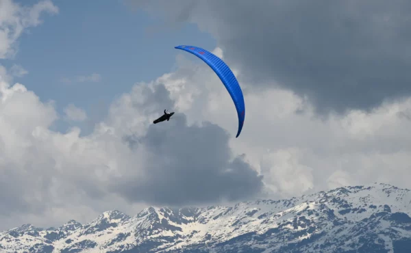 Aile de Parapente Parapente PHI - Scala 2 – Image 2